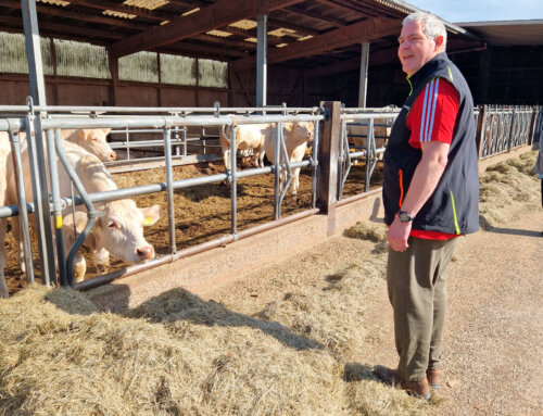 Das TagWerk besucht den Bauernhof Nees