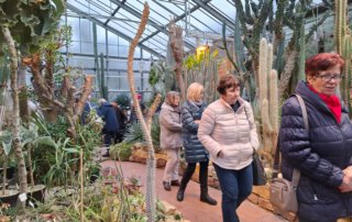 Botanischer Garten Marburg Gäste spazieren durch das Kakteenhaus