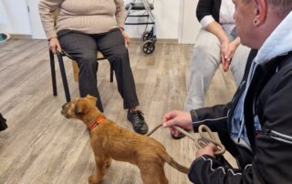 Besuchshunde im TagWerk Seniorin schaut dem jungen Irish Terrier an der Leine zu