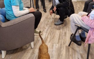 Besuchshunde im TagWerk Junger Hund läuft durch den Sitzkreis der Gäste
