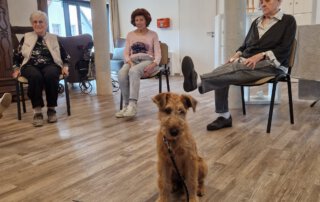 Besuchshunde im TagWerk Irish Terrier sitzt im Gemeinschaftsraum vor den Gästen