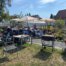 Gäste sitzen unter Sonnenschirmen im TagWerk-Garten